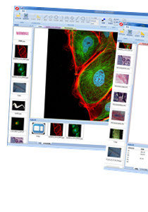 spectrumsee图像分析软件